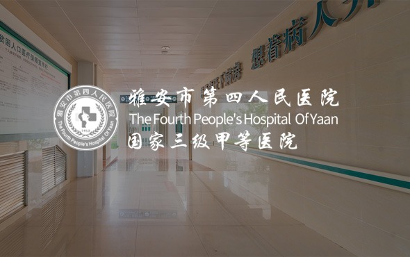  成都網站建設，成都網站開發